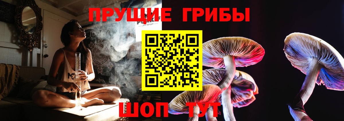 Псилоцибиновые грибы MAGIC MUSHROOMS  Вход с VPN  Вязьма 